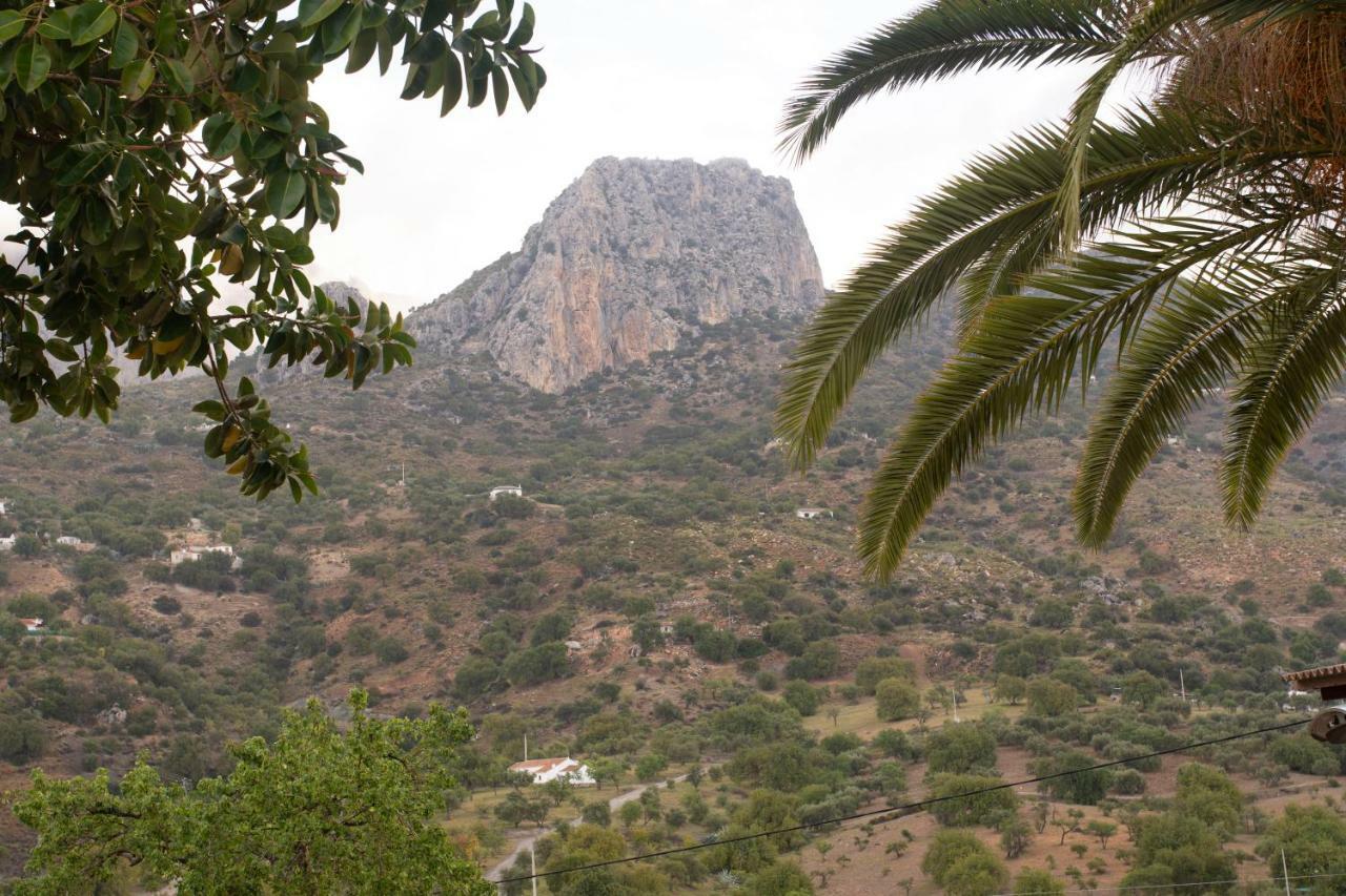 Lagar Del Chorro Junto Caminito Del Rey Piscina Y Baloncesto El Chorro